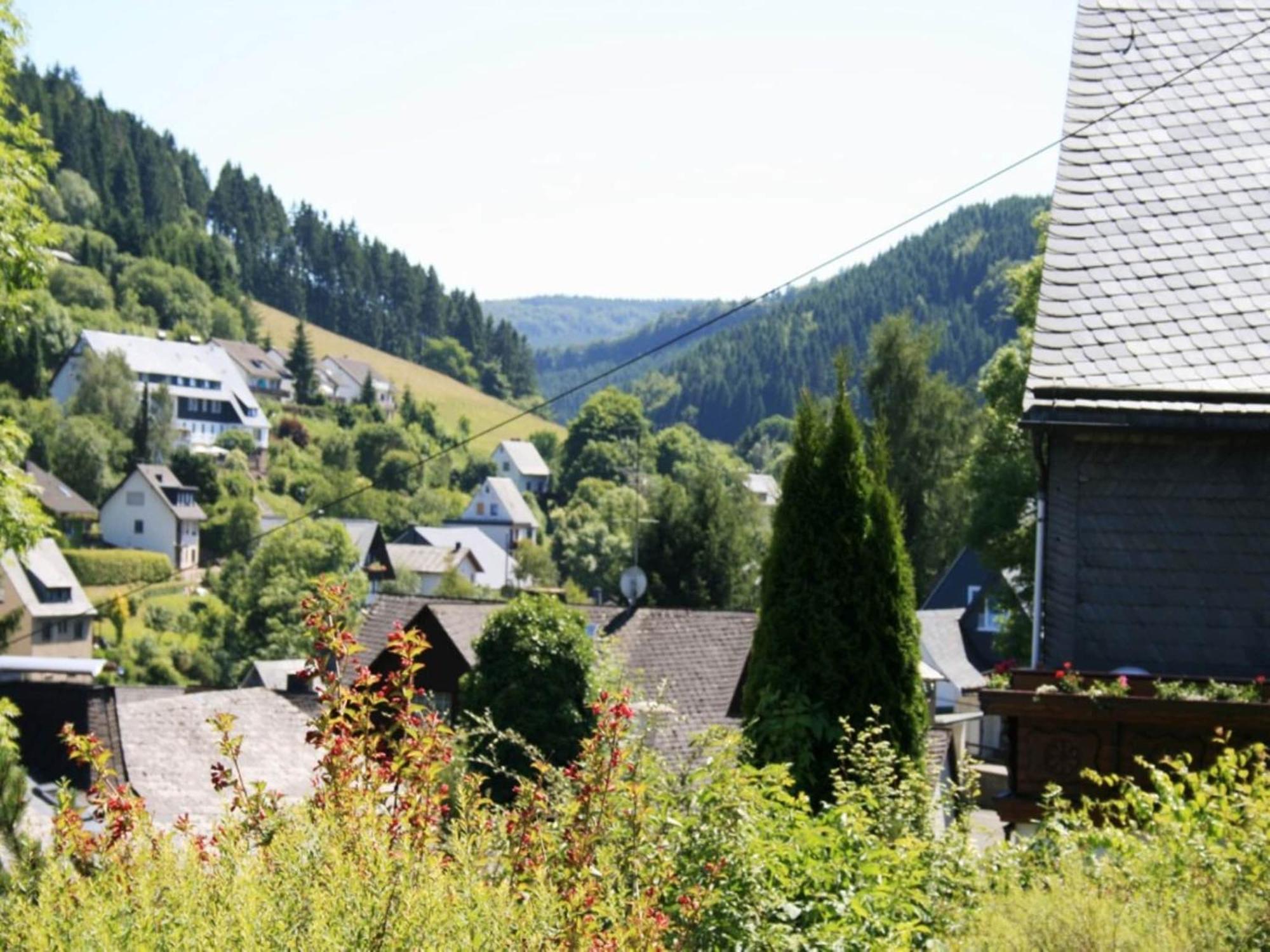 Cosy Apartment In Schwalefeld Near Willingen With Private Terrace Extérieur photo