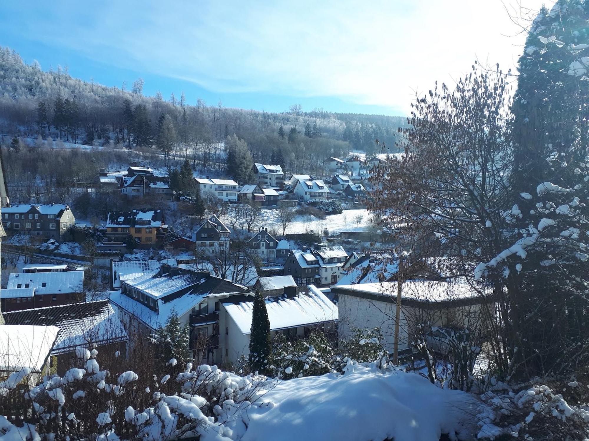 Cosy Apartment In Schwalefeld Near Willingen With Private Terrace Extérieur photo