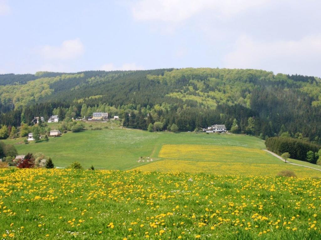 Cosy Apartment In Schwalefeld Near Willingen With Private Terrace Extérieur photo